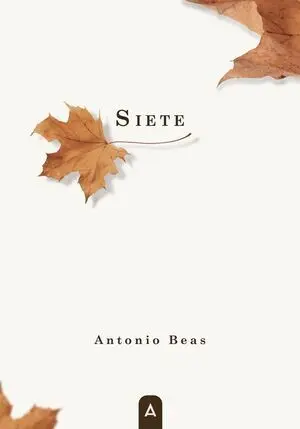 Siete