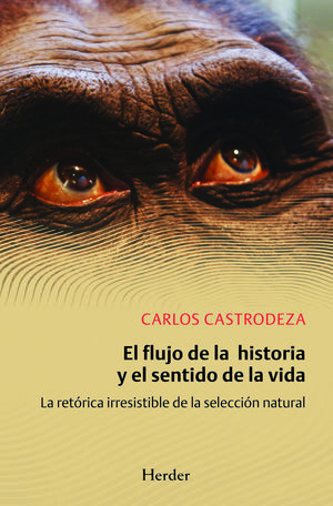 El flujo de la historia y el sentido de la vida