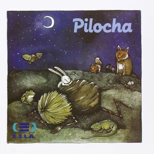 Pilocha