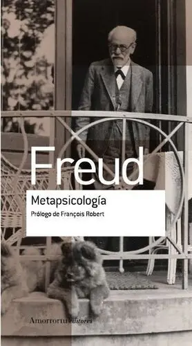 METAPSICOLOGÍA